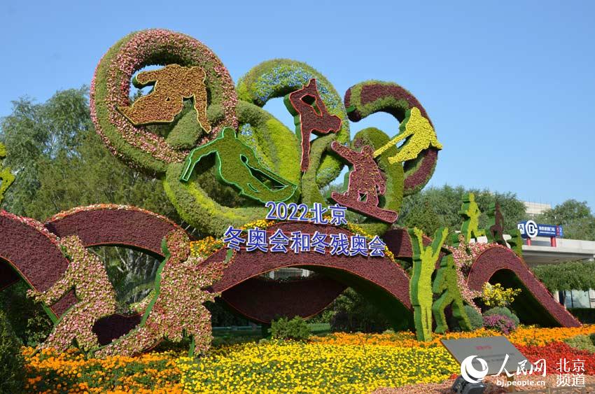 京城花團錦簇 引得市民觀賞拍照