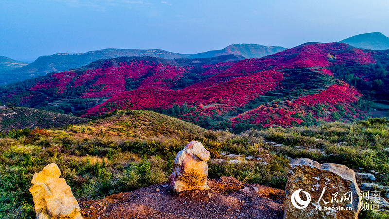 河南禹州：看滿山紅遍 層林盡染