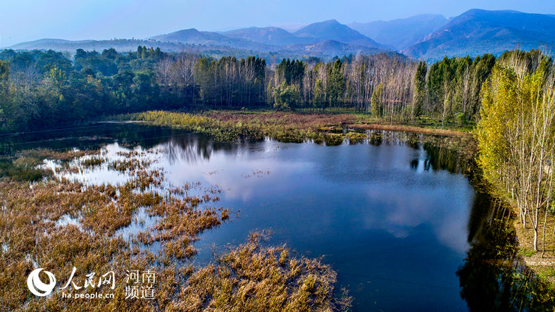 河南禹州：看滿山紅遍 層林盡染