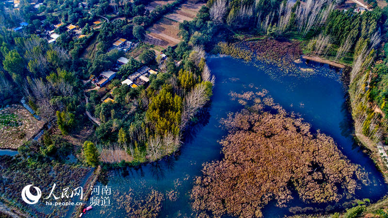 河南禹州：看滿山紅遍 層林盡染