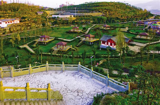 【環保視點 政務資訊 圖文摘要】南川以綠色促發展 建設大美家園