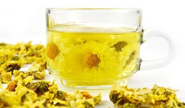 【食在重慶 圖文】你喝菊花茶嗎？喝不對小心引起慢性鼻炎！