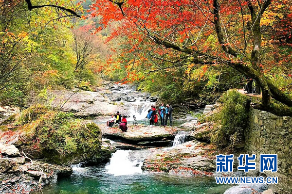 遊五彩大巴山 賞繽紛秋葉