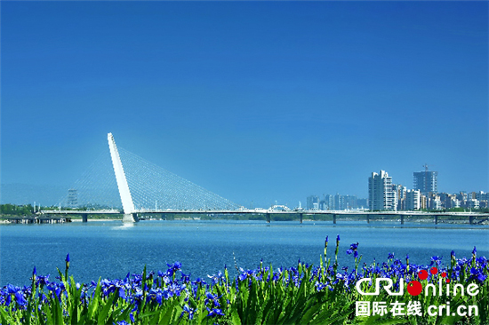 【CRI中外記者浐灞行專題  全球聚焦 顯示圖在稿件最下方】CRI中外記者看陜西：西安浐灞生態區打造環境治理新奇跡