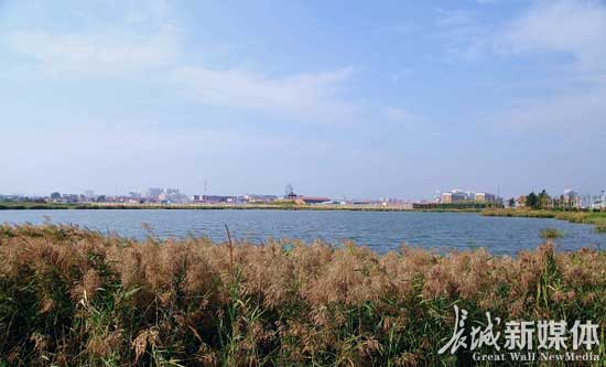 “黃驊市鹽鹼地生態修復項目”獲中國人居環境範例獎