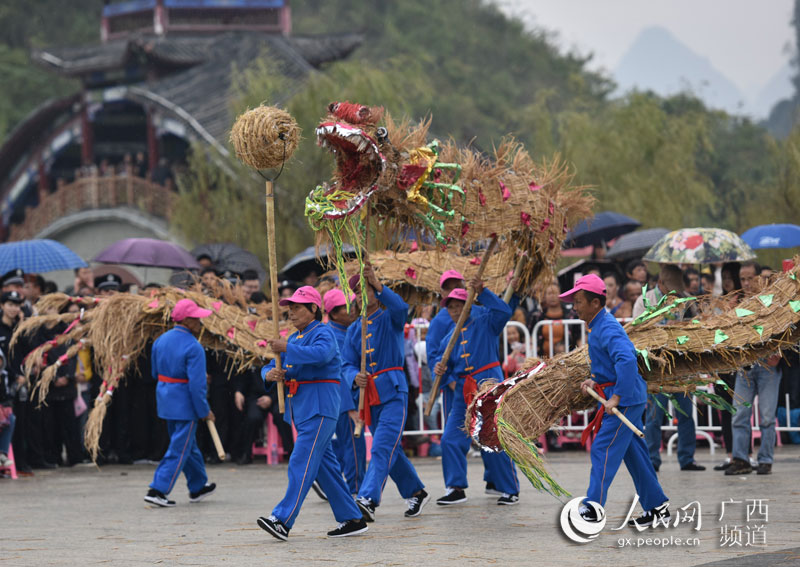 廣西羅城依飯節上演舞草龍