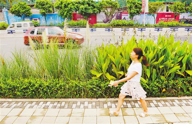 【園區開發 圖文摘要】兩江新區打造"會呼吸"的地面