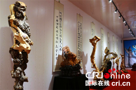 一盆一景一世界 崖柏根雕“走紅”農高會_fororder_圖片3