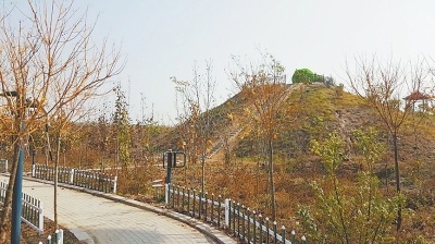【文旅中原列表】商丘夏邑太平鎮成為我省首個全民健身示範鎮