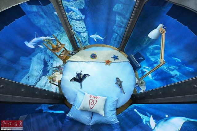 巴黎水族館開放水下房間 可與鯊魚共眠