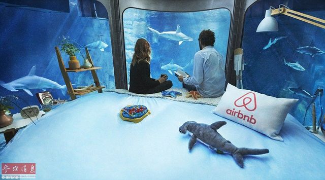 巴黎水族館開放水下房間 可與鯊魚共眠