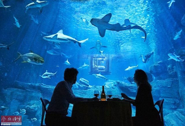 巴黎水族館開放水下房間 可與鯊魚共眠