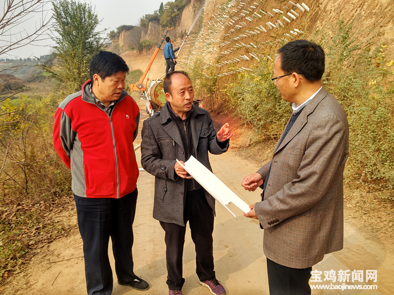 【三秦大地 寶雞】陜西省寶雞市眉縣：濕地綠植改環境 荒山荒坡換新顏