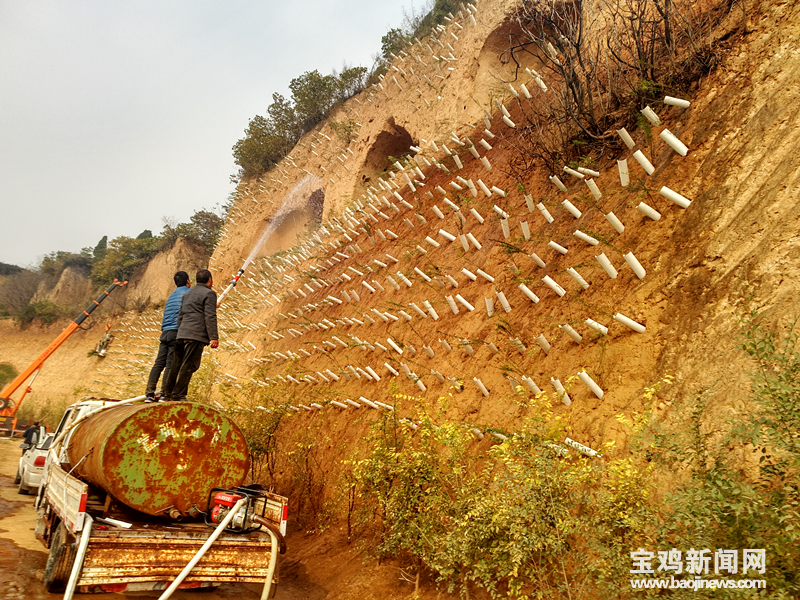【三秦大地 寶雞】陜西省寶雞市眉縣：濕地綠植改環境 荒山荒坡換新顏