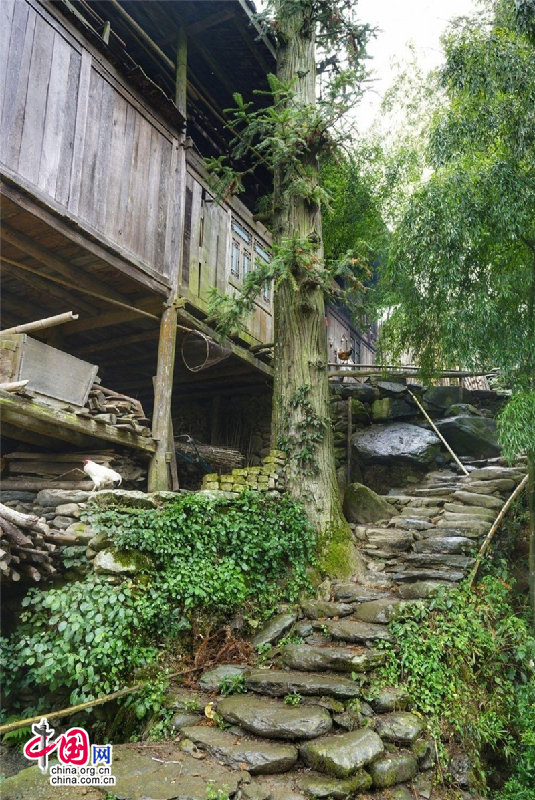 城步大寨村景美人少 真正原生態的侗族村寨