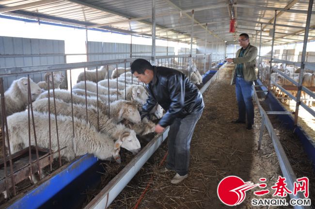 【三秦大地 寶雞】寶雞鳳翔縣柳林鎮:著力提升群眾獲得感和幸福感