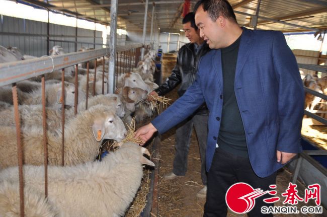 【三秦大地 寶雞】寶雞鳳翔縣柳林鎮:著力提升群眾獲得感和幸福感