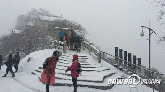 【焦點圖 顯示圖在稿件最下方】華山景區迎漫天大雪最深積雪6公分 險要景點臨時關閉