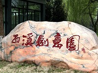 引鳳來巢的創新密碼