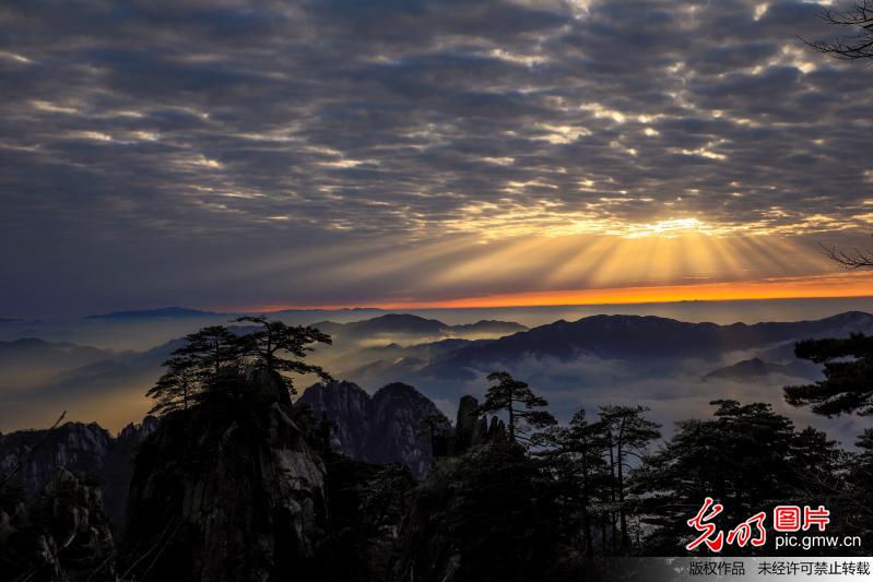 安徽：黃山出現今年入冬第一場霧凇 雲海景觀