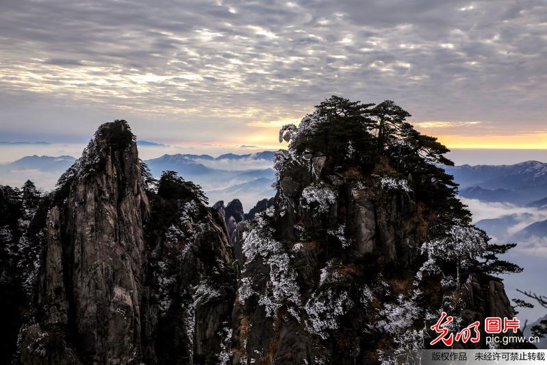 安徽：黃山出現今年入冬第一場霧凇 雲海景觀