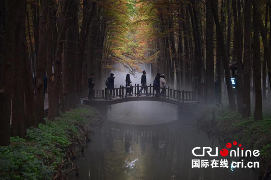 (專題 精彩江蘇大圖 )阿富汗外交官眼中的秀美江蘇:環境保護既現實又“走心” (專題 精彩江蘇大圖 )阿富汗外交官眼中的秀美江蘇:環境保護既現實又“走心”