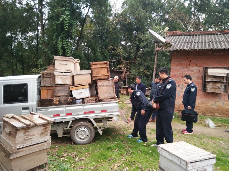 【三秦大地 漢中】漢中洋縣公安局刑警大隊發還50箱被盜蜜蜂