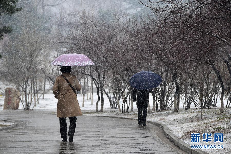 吉林長春四月飄雪