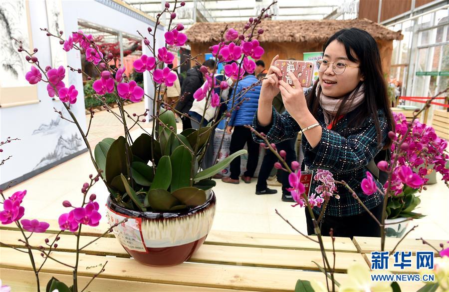 第五屆中國蘭花大會在福建連城開幕