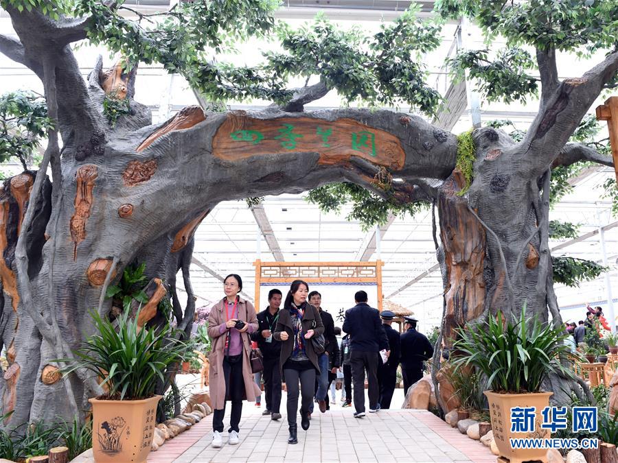 第五屆中國蘭花大會在福建連城開幕