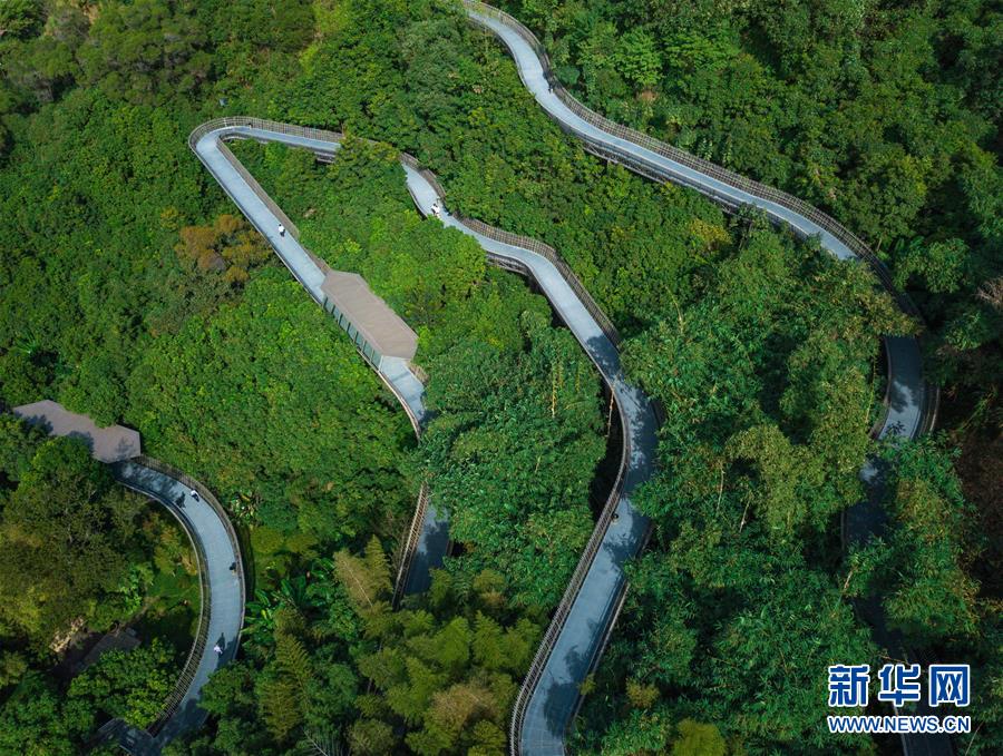 福州：空中綠道 城市幽境