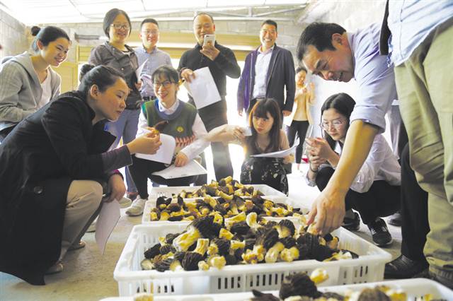 【焦點圖】1公斤”脫貧故事激發脫貧內生動力 助黔江成功摘掉“窮帽子”