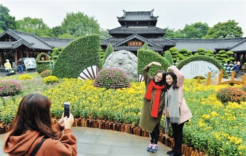【旅遊文體】【熱門文章-頭圖】青秀山菊花綻放正艷麗 【旅遊文體】【熱門文章-頭圖】青秀山菊花綻放正艷麗