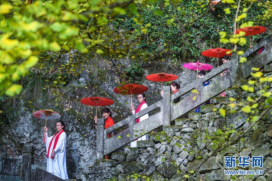 浙江建德：山鄉古樹“黃金雨”
