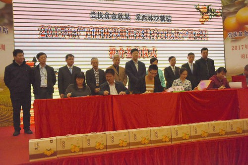 〔金融投資〕廣西西林縣到深圳推銷沙糖桔 〔金融投資〕廣西西林縣到深圳推銷沙糖桔