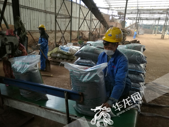 【區縣聯動】【梁平】梁平這樣治理畜禽糞污 龍溪河變市民垂釣好去處【區縣聯動】梁平治理畜禽糞污保護龍溪河