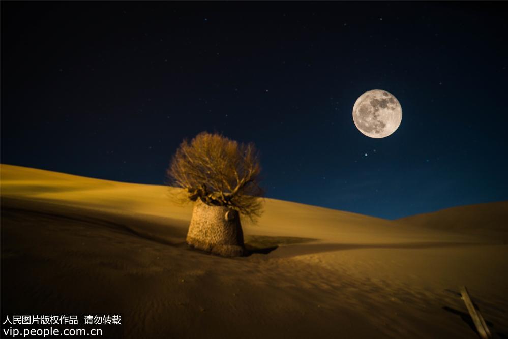 敦煌大漠升起超級月亮