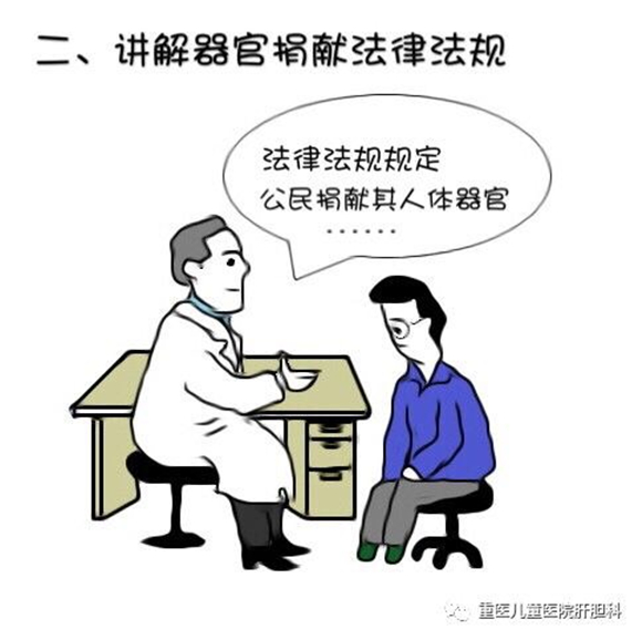 【社會民生】一組漫畫看懂器官捐獻過程