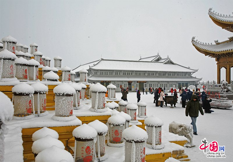 峨眉山:冰雪童話大世界 冬菊吐艷問情濃