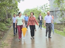 圖片默認標題