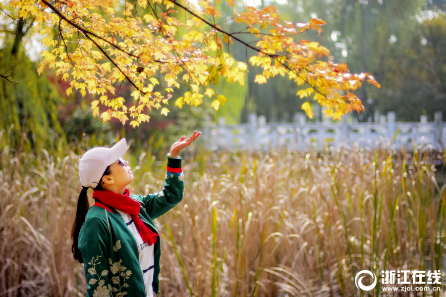 台州：生態公園 美景如畫