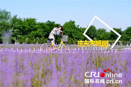 高鐵通秦川 西鹹新區向成都朋友發出邀請函_fororder_西鹹圖片07