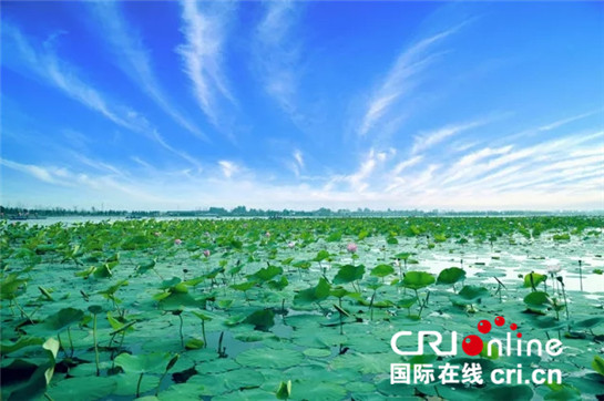 高鐵通秦川 西鹹新區向成都朋友發出邀請函_fororder_西鹹圖片09