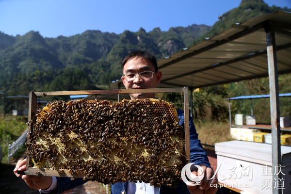 （網信辦要求轉發）【聚焦重慶】帶著感情進村入戶　真抓實幹落地開花
