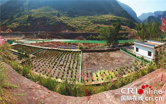 【環保視點專題 要聞 標題摘要】巫山縣開展“環保公眾開放周”活動 不斷提升公眾環保意識