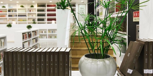 南書房夜話：深圳人的文化家園