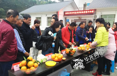 【環保視點專題 綠色美食 圖文摘要】“重慶·台灣周”也有“吃貨” 渝臺基層農漁業交流參訪團“點讚”重慶