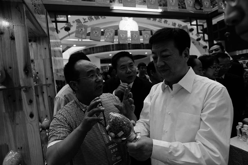 【三秦大地 商洛】核桃産業成為洛南打開脫貧攻堅之門的“金鑰匙”