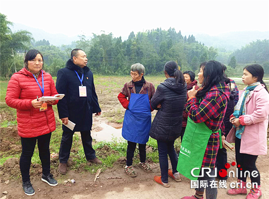 已過審【社會民生】大足區回龍鎮：人大代表基層走訪 腳步丈量民情