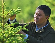 圖片默認標題